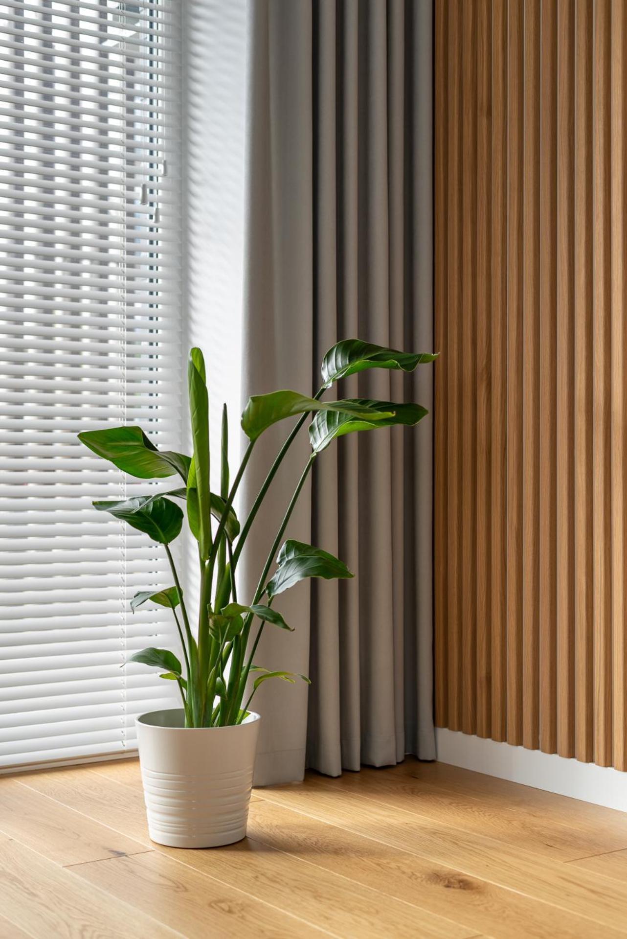 D33 Vilnius - Brand New Luxury Apartment With Terrace, Garden, Ac And Parking Eksteriør bilde